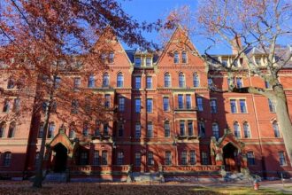 Curso da Universidade Harvard é oferecido de graça, online e em português