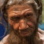 Neanderthal, este parente pouco conhecido que ainda nos influencia