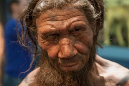 Neanderthal, este parente pouco conhecido que ainda nos influencia