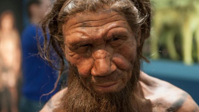 Neanderthal, este parente pouco conhecido que ainda nos influencia