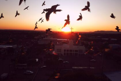 Alto Horizonte comemora seus 33 anos de criação, nesta terça-feira (16)