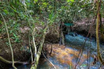 Fronteira entre Amazônia e Cerrado: clima deve comprometer viabilidade de 74% das terras agrícolas até 2060