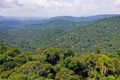 Norte é única região do país com aumento no número de homicídios em 2023