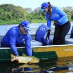 Piracema: com fim do defeso, pescadores podem retomar atividade de pesca