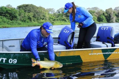 Piracema: com fim do defeso, pescadores podem retomar atividade de pesca