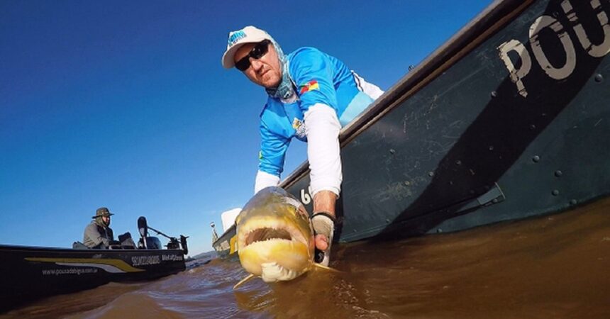 Proibida pesca comercial no Mato Grosso, a partir de 2 de fevereiro