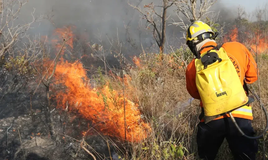 QUEIMADAS: Brasil registra 184 mil focos; estados atuam no combate aos incêndios