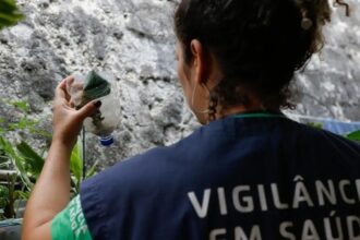 Dengue: Dia D de mobilização neste sábado (14)