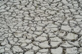 Seca extrema: ação humana é uma das causas principais do fenômeno climático