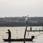 Período de defeso na Bacia Hidrográfica dos Rios Tocantins e Gurupi termina em 28 de fevereiro