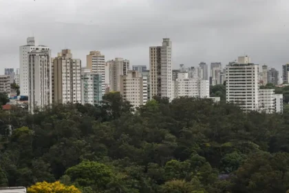 São Paulo lidera ranking de cidades brasileiras com maior intensidade de ligações empresariais