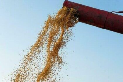 Soja tem queda no preço e trigo fica mais caro, nesta quarta-feira (16)