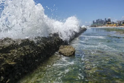 Lei do Mar: municípios costeiros deverão incluir diretrizes para conservação e uso sustentável em planos diretores