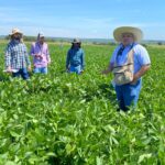 Seguro Agrícola no Brasil: Transformações Recentes e o Papel Fundamental na Sustentação do Campo