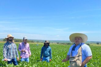 Seguro Agrícola no Brasil: Transformações Recentes e o Papel Fundamental na Sustentação do Campo