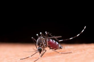 Brasil inaugura maior biofábrica do mundo para produção da bactéria Wolbachia