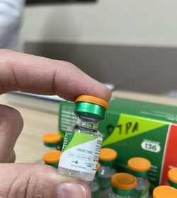 COQUELUCHE: Nordeste já registra 187 casos da doença em 2025