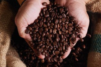 Café arábica tem queda no preço nesta quinta-feira (31)