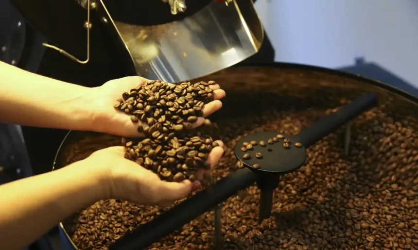 Café: semana começa com nova alta no preço