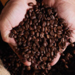 Cotações do café, açúcar e milho para esta quarta-feira (18)