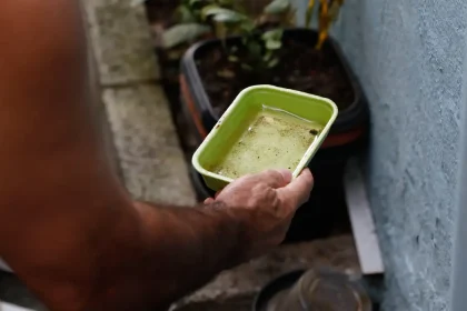 Dengue: saiba os cuidados para evitar focos do mosquito transmissor