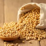 Preço da soja volta a subir no litoral do Paraná, nesta quinta-feira (26)