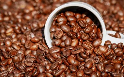 Preço do café tem alta nesta terça-feira (15)