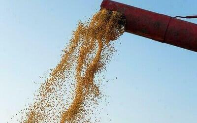 Soja sobe 0,45% no Paraná