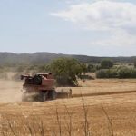 Valor da Terra Nua (VTN): prazo para envio termina nesta quarta (30)