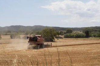 Valor da Terra Nua (VTN): prazo para envio termina nesta quarta (30)