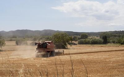 Valor da Terra Nua (VTN): prazo para envio termina nesta quarta (30)