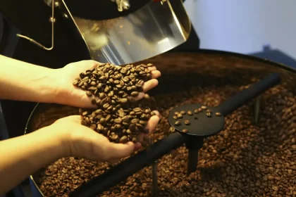 Agronegócio brasileiro bate recorde e exporta US$ 15,6 bilhões em julho