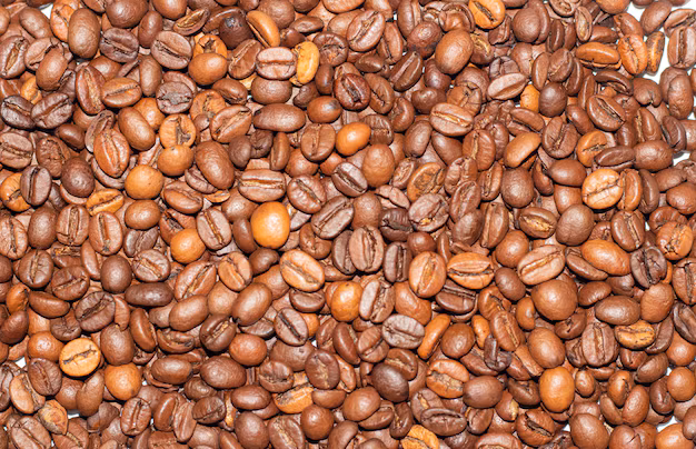 Café arábica inicia a semana com queda no preço