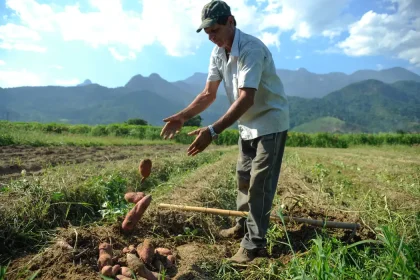 Bolsa Família: trabalhador contratado por safra poderá manter benefício social