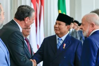 Brasil abre seis novos mercados e retoma exportações de frango à Malásia