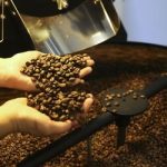 Café: confira as cotações para terça-feira (7)