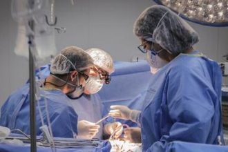 Doação de órgãos: transplantes de intestino delgado e multivisceral entram no SUS