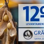 Safra 2024/25 atinge recorde histórico de 350,2 milhões de toneladas de grãos
