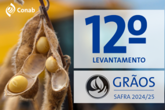 Safra 2024/25 atinge recorde histórico de 350,2 milhões de toneladas de grãos