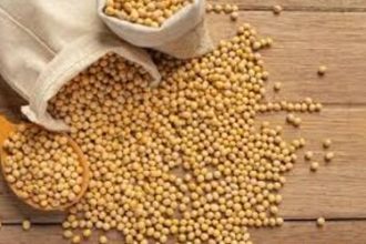 Soja e trigo: confira as cotações de preço para esta quinta-feira (2)