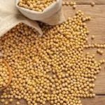 Soja e trigo: confira as cotações de preço para esta segunda-feira (13)