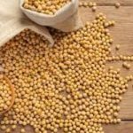 Soja e trigo: confira as cotações de preço para esta sexta-feira (17)