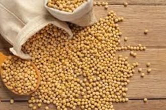 Soja e trigo: confira cotações de preço para esta segunda (27)