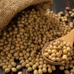 Soja e trigo hoje: confira as cotações para terça (28)