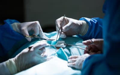 Transplante de fígado: 2,3 mil pessoas aguardam cirurgia no Brasil