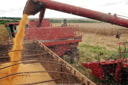 Valor Bruto da Produção do Agro atinge R,4 trilhão em agosto