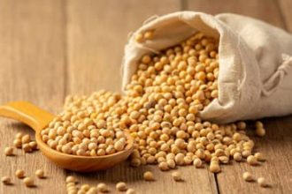 Soja e trigo hoje: confira as cotações para quarta (5)