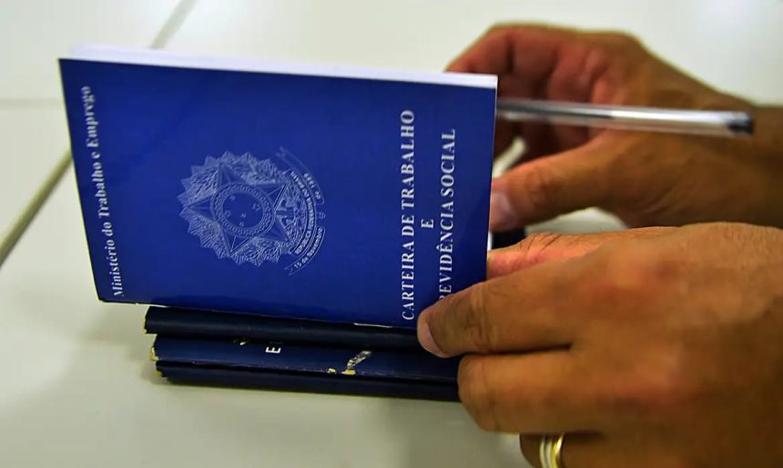 Trabalho: veja ranking dos municípios com maior nível de ocupação