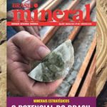 “O Brasil tem a chance de mudar a dinâmica global da indústria de terras raras”