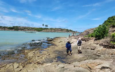 Pesquisa mineral: SGB lança Mapa Geológico da bacia de Alagoas